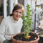 J’ai remplacé les cubes de bouillon par cette plante à mettre en pot à cette période précise